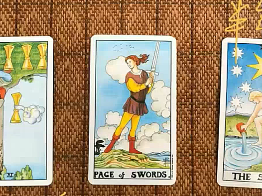 职业塔罗-海豚老师