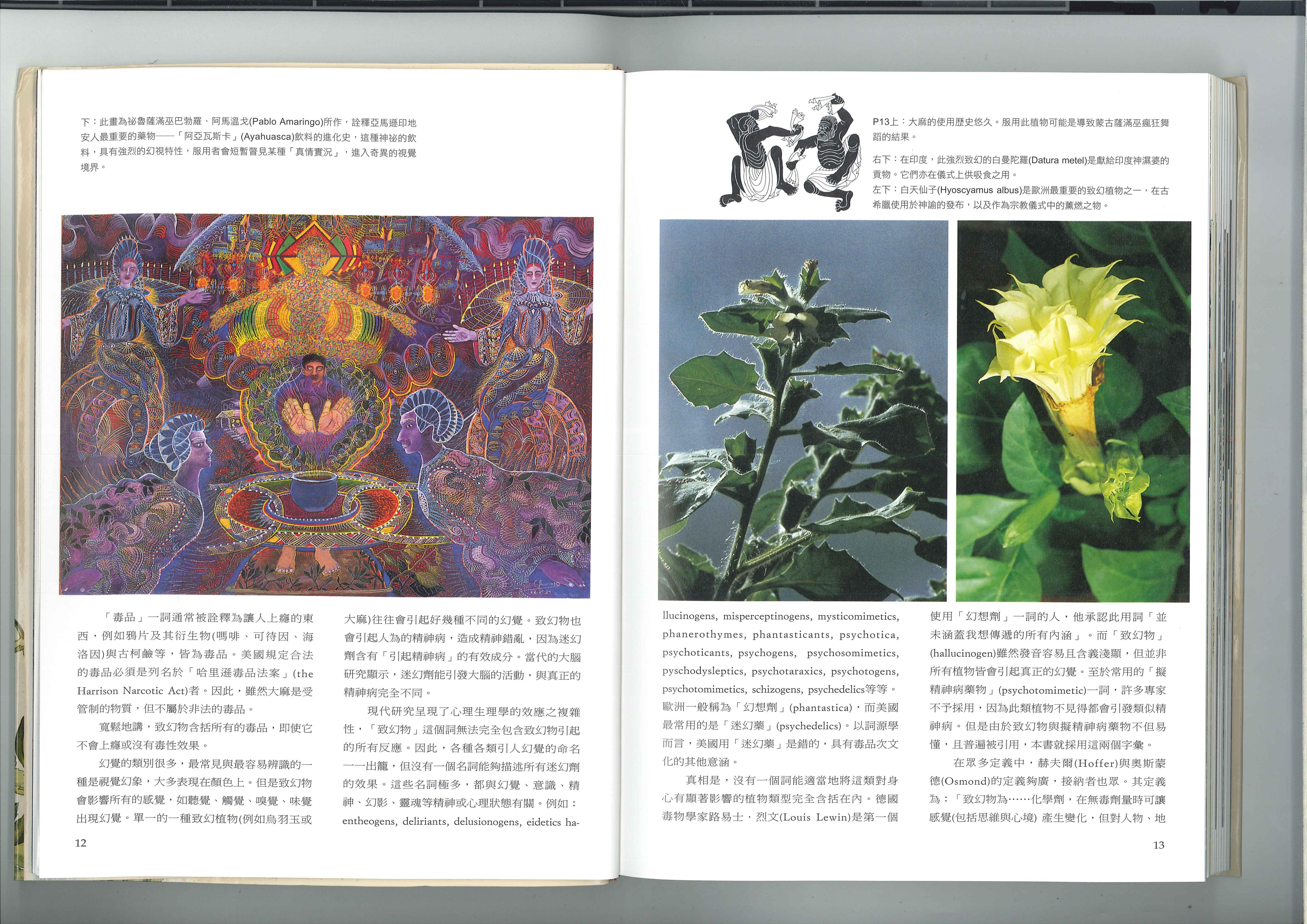 致幻植物是什么？ 2