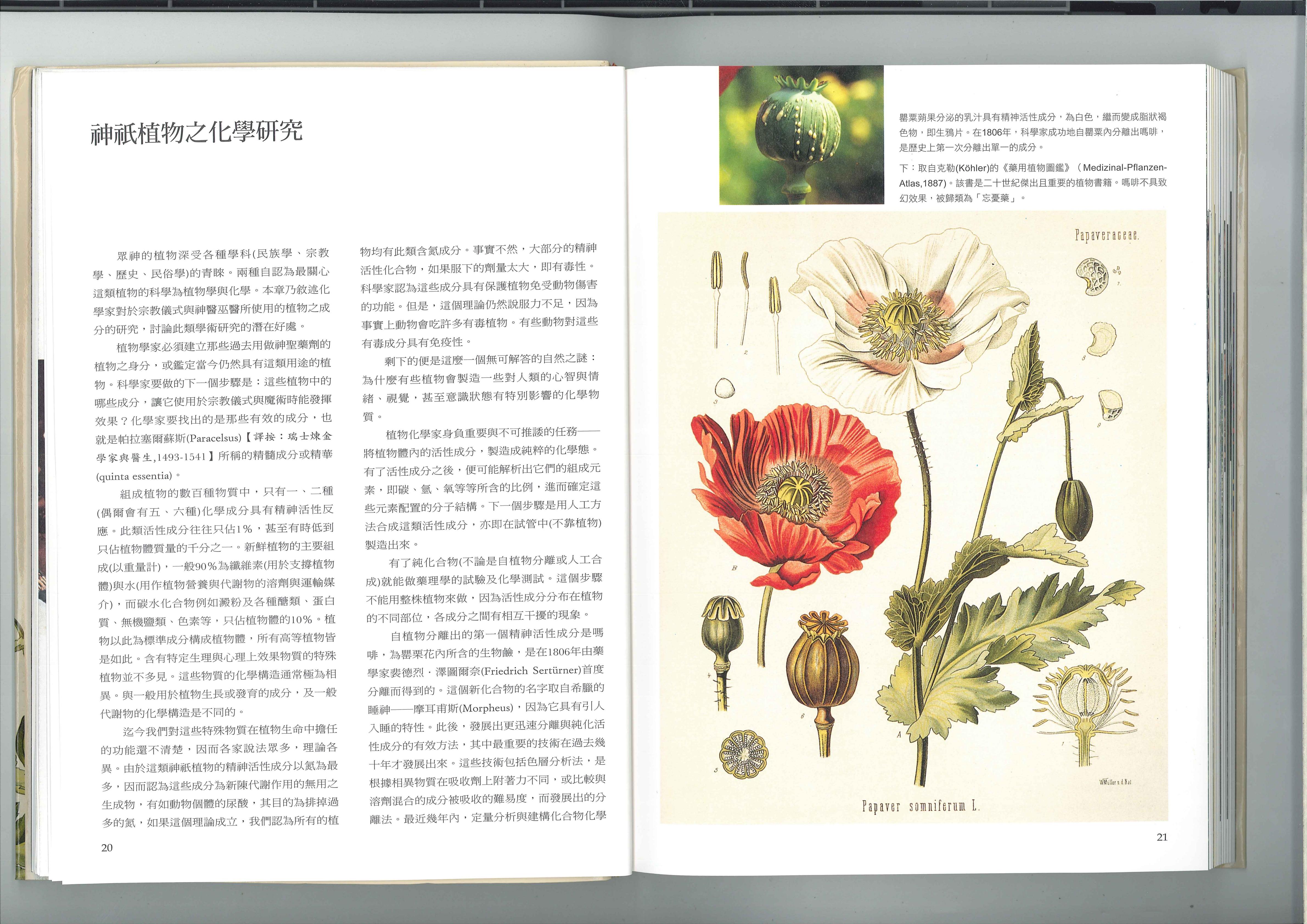 神祇植物之化学研究 1