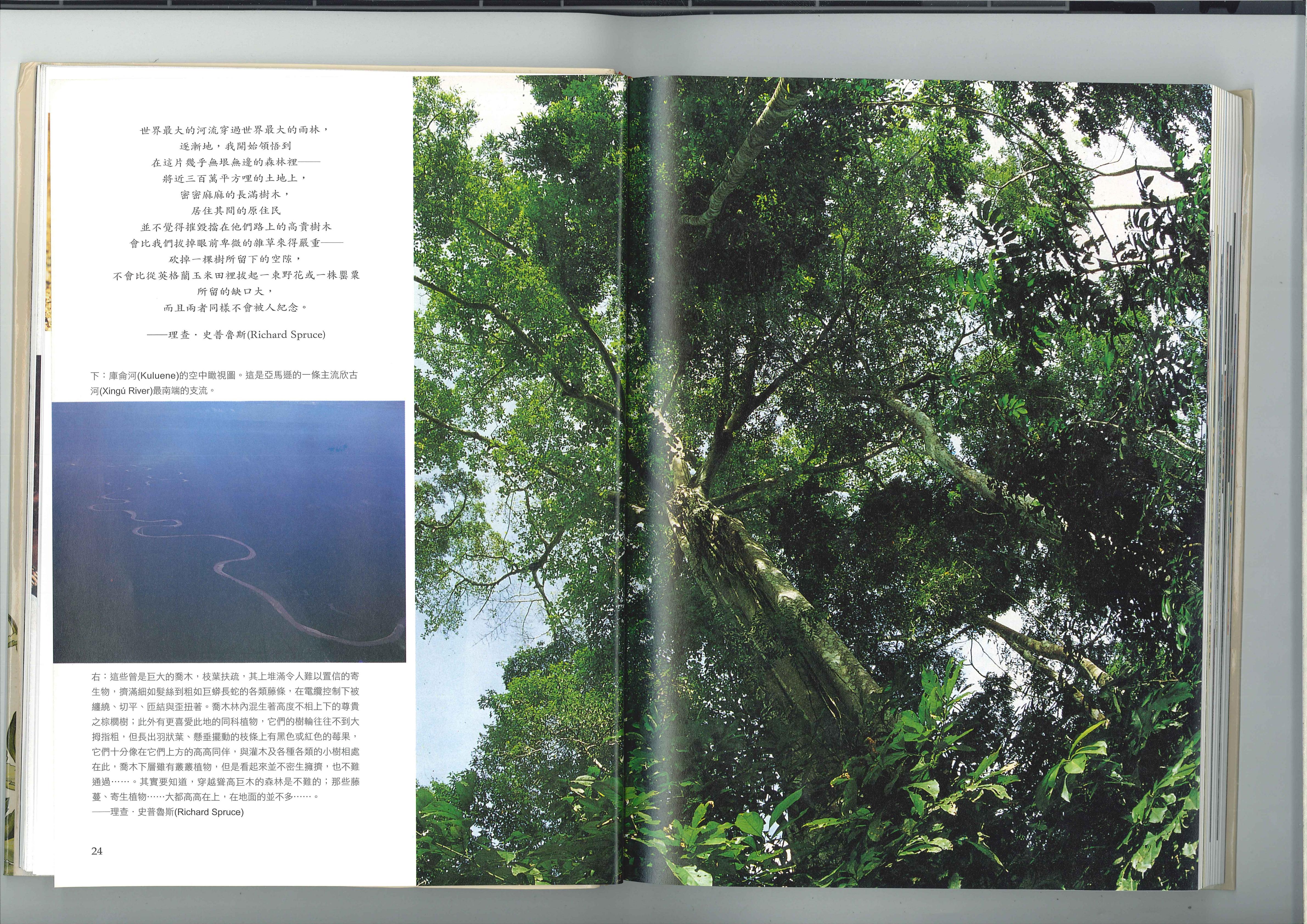 神祇植物之化学研究 3