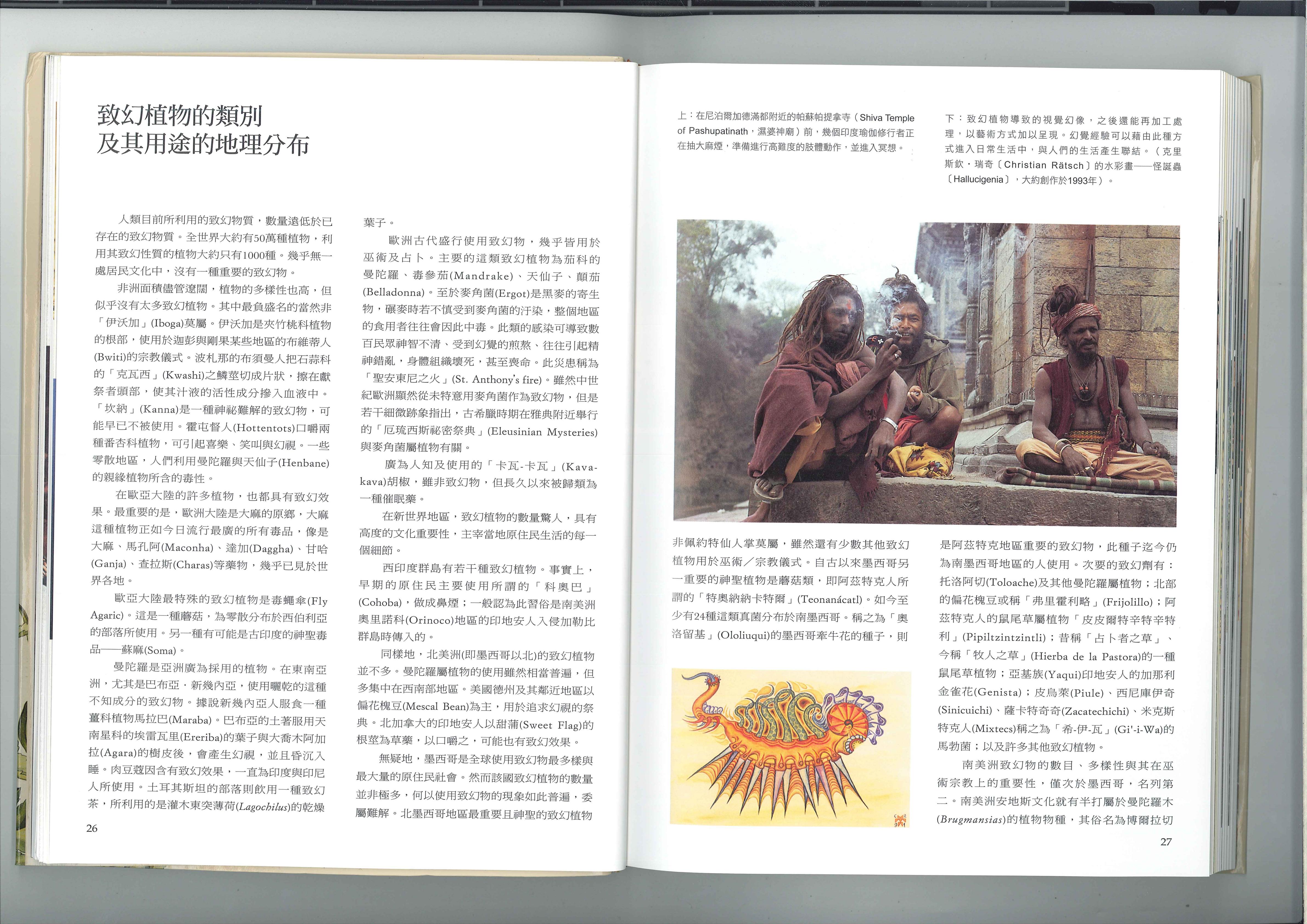致幻植物的类别 1