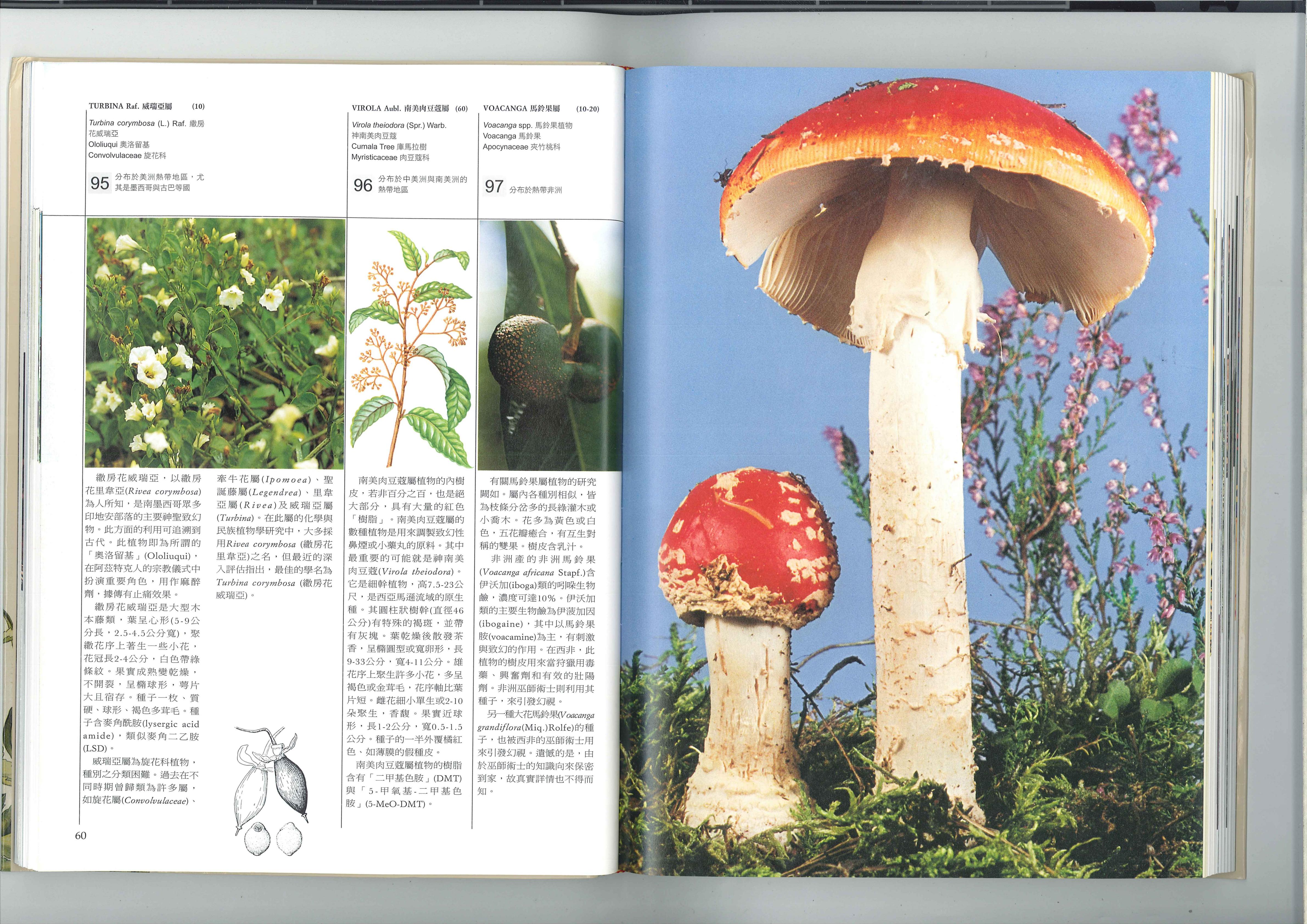 俗名索引03 3