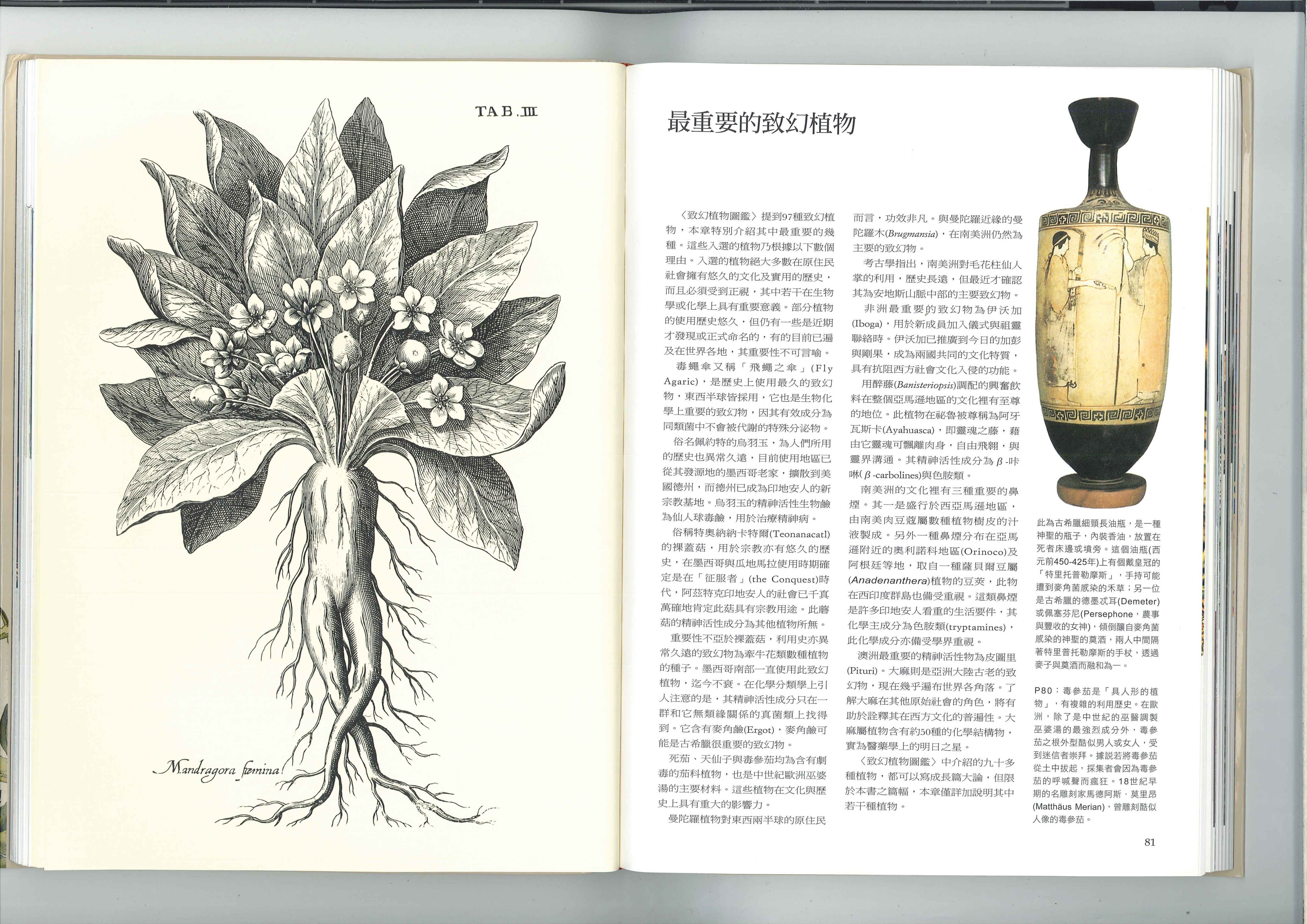 最重要的致幻植物 1