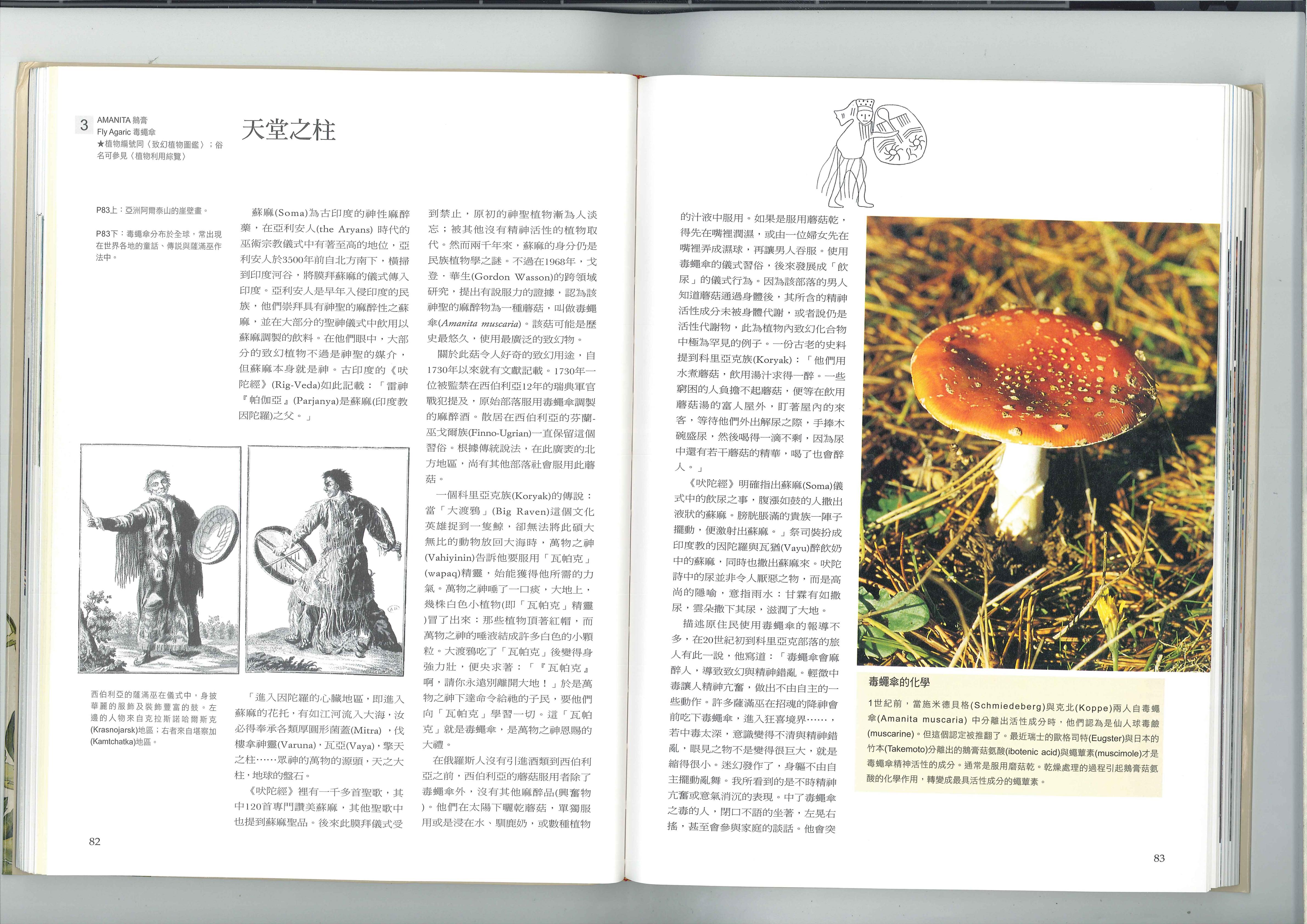 最重要的致幻植物 2
