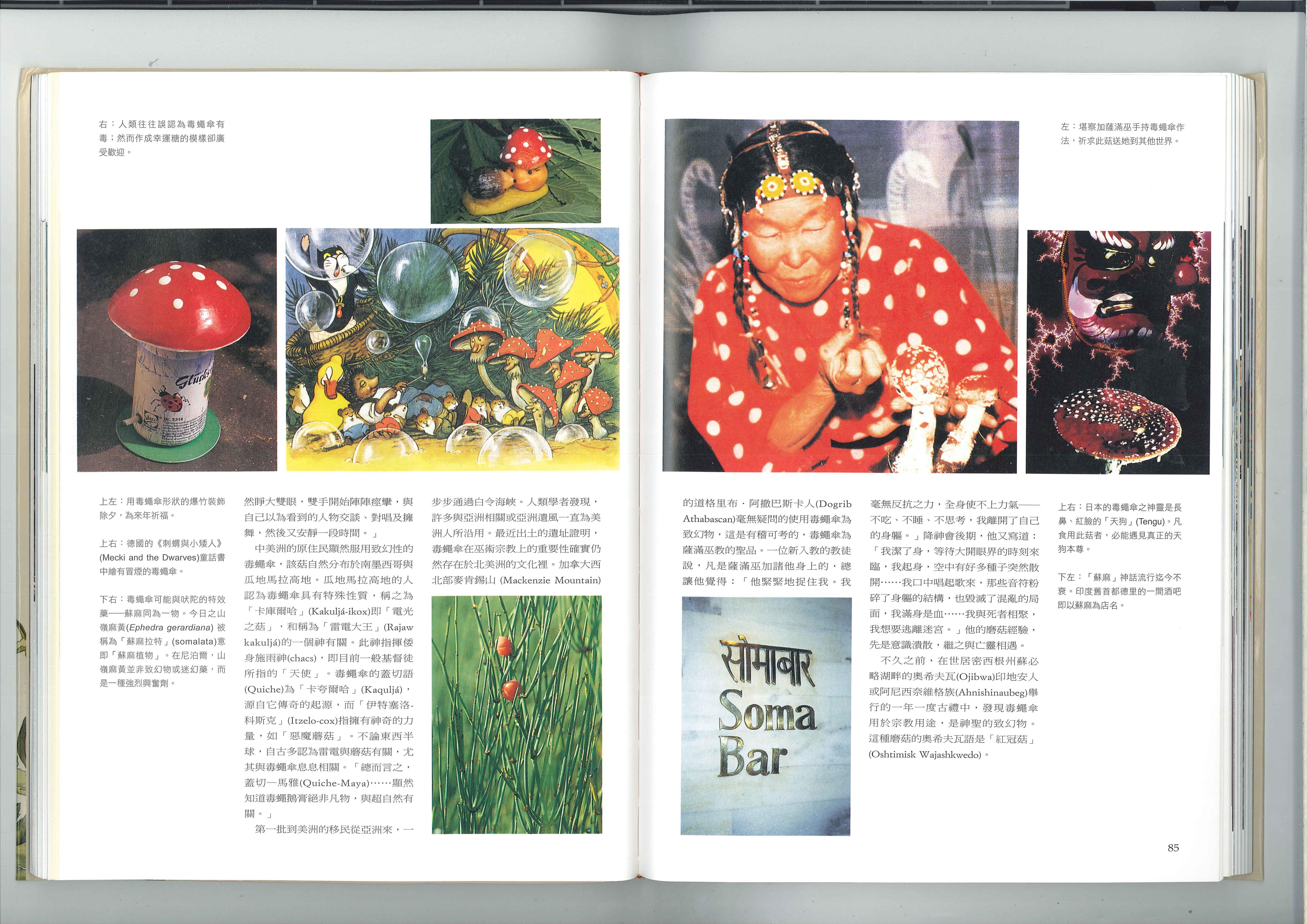 最重要的致幻植物 3