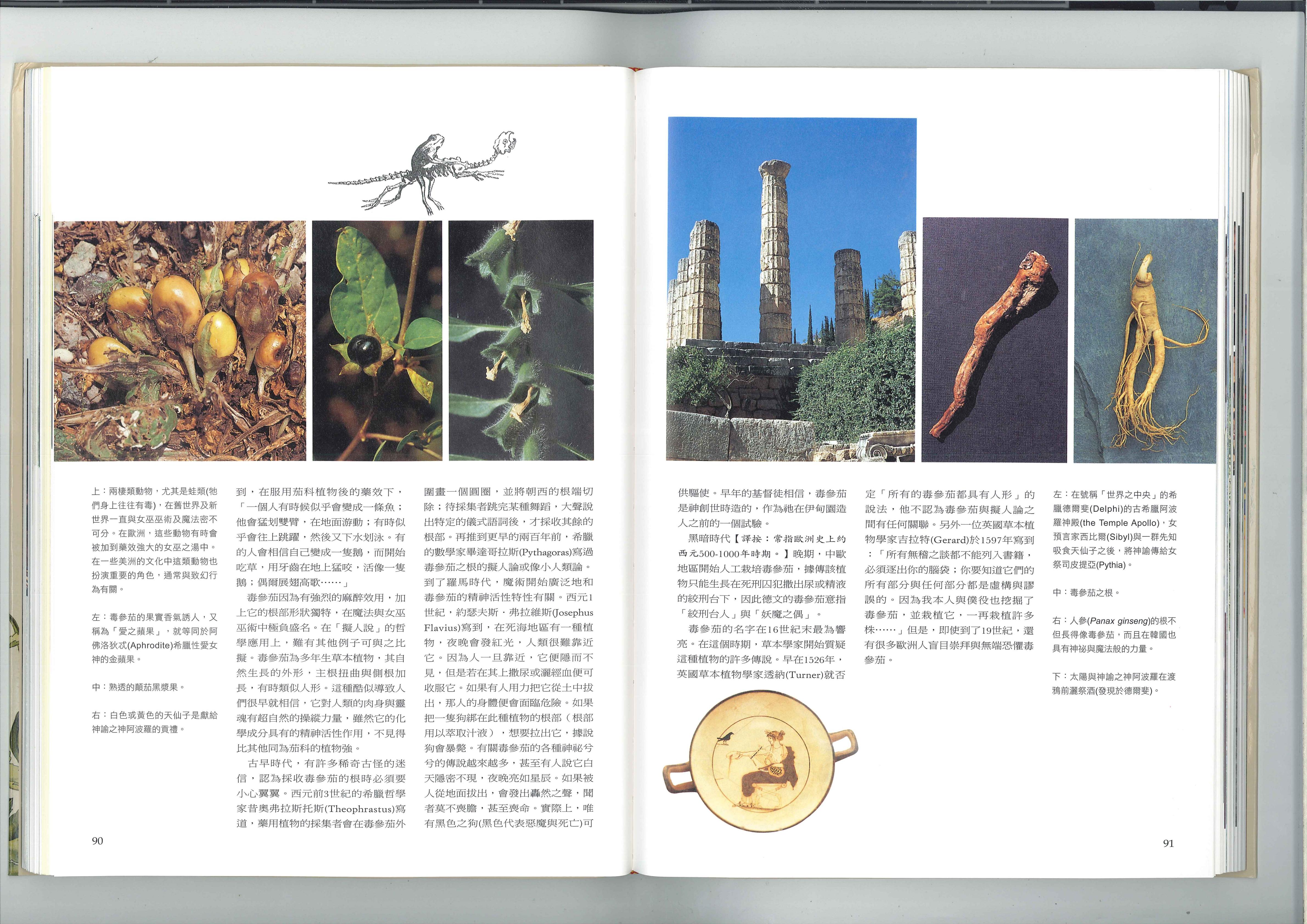 魔法药草 3