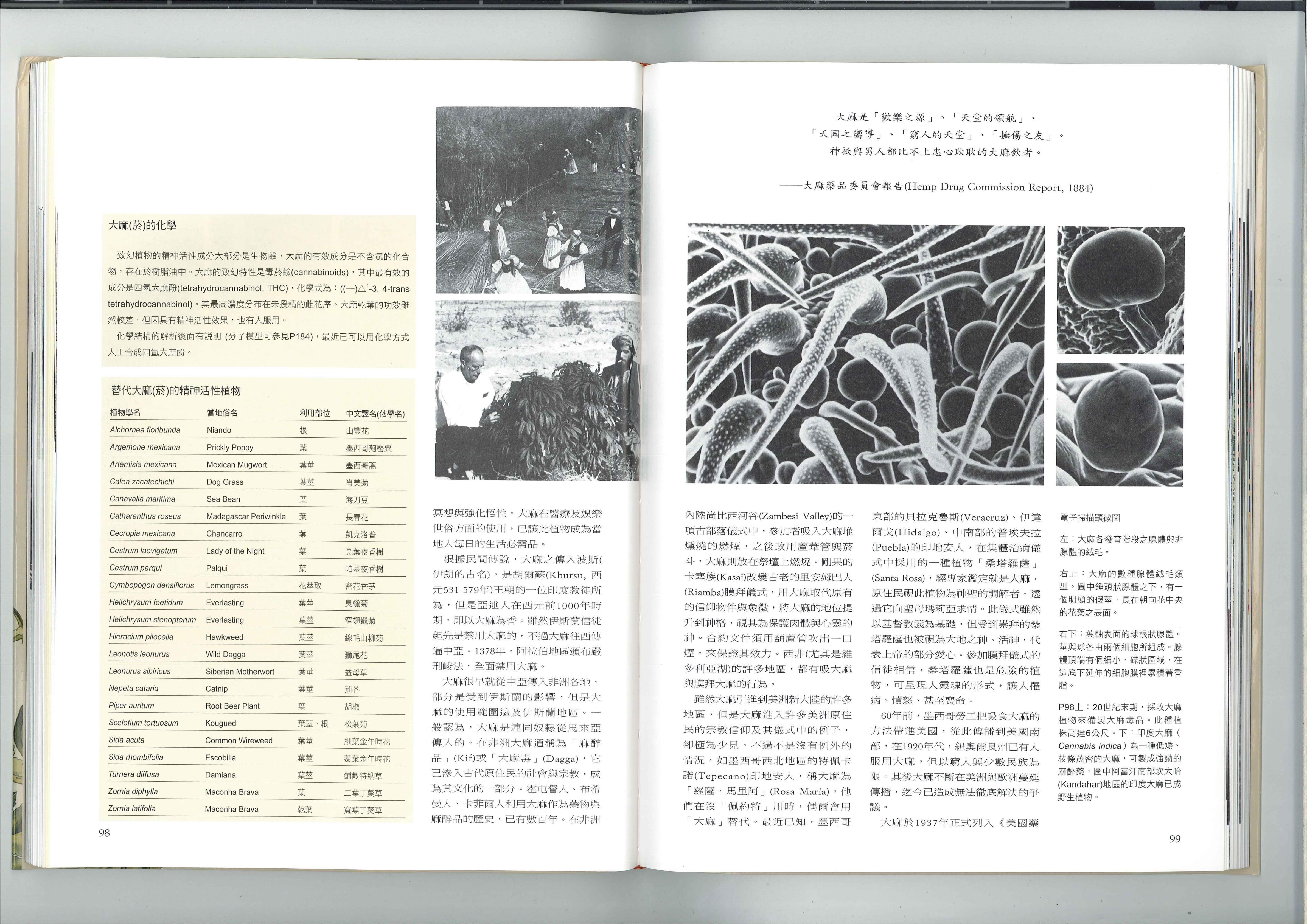 大麻的化学 1