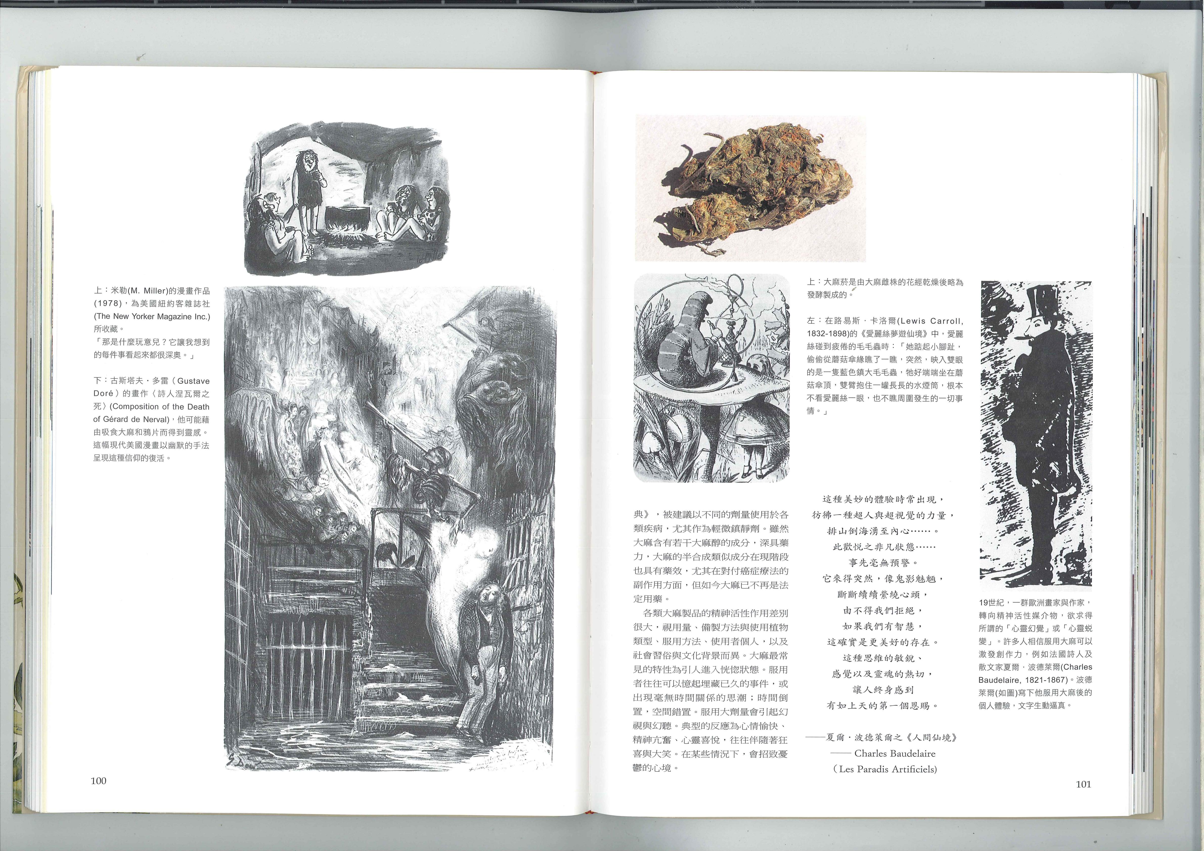 大麻的化学 2