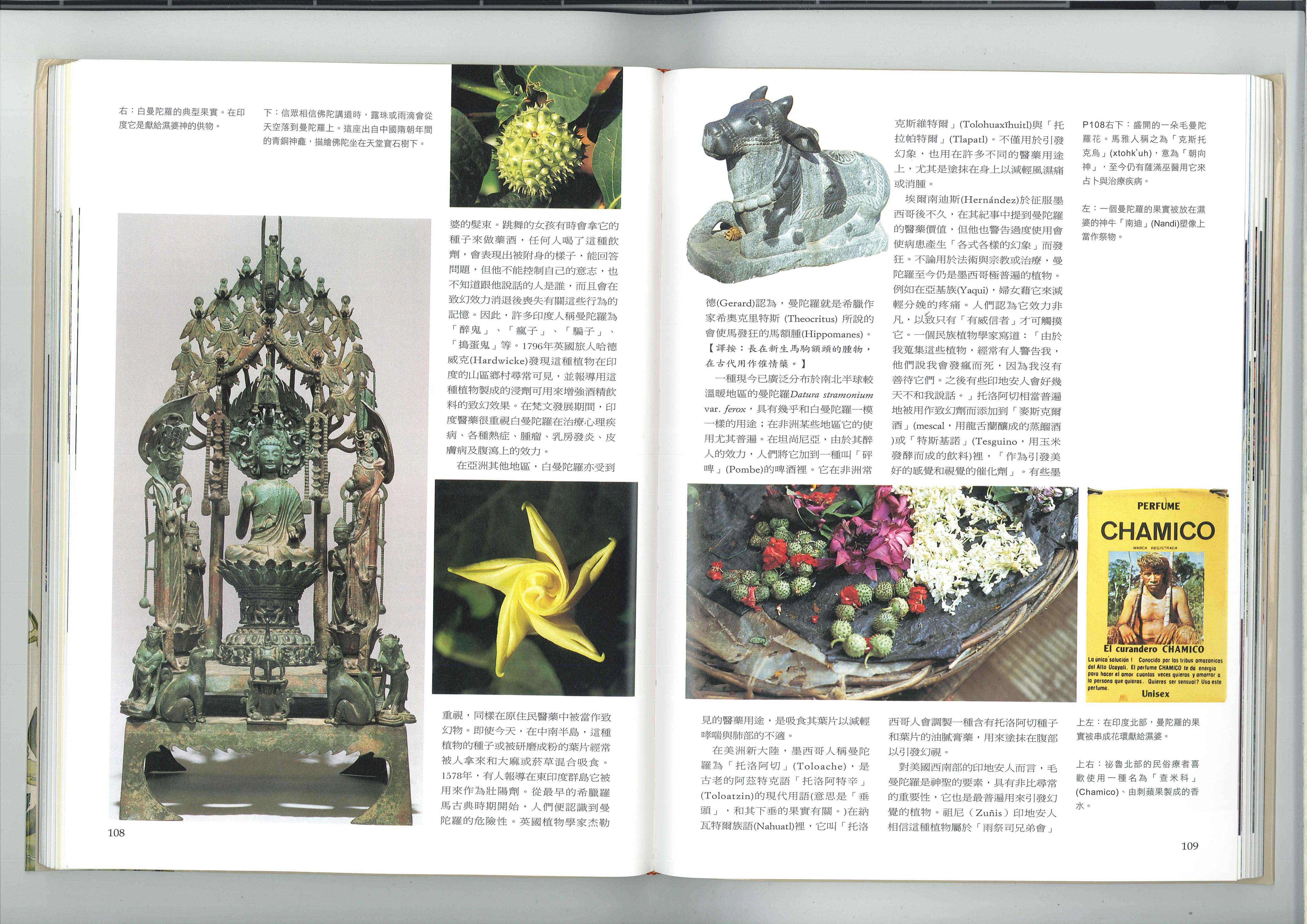 北极星之圣花 2