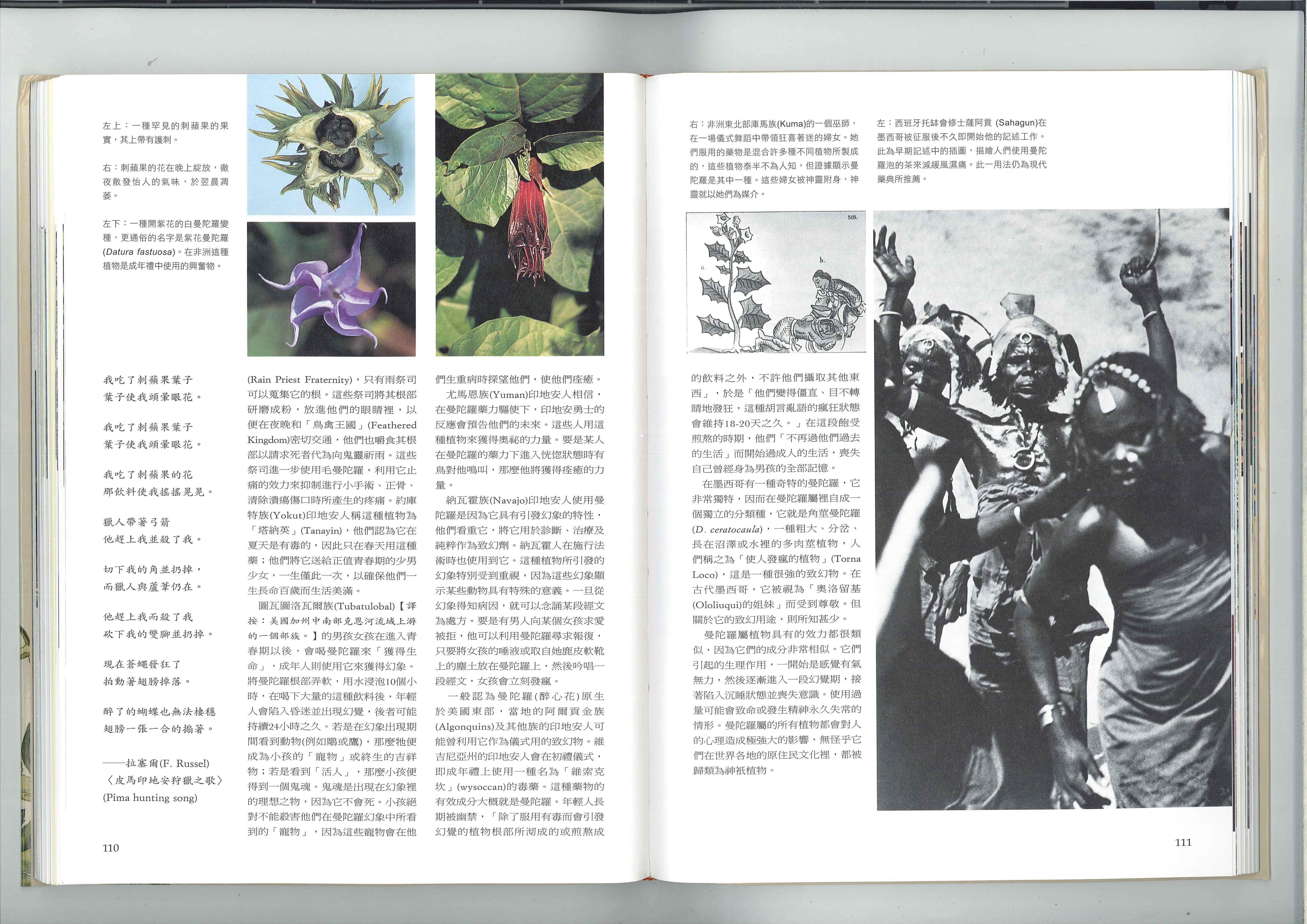 北极星之圣花 3