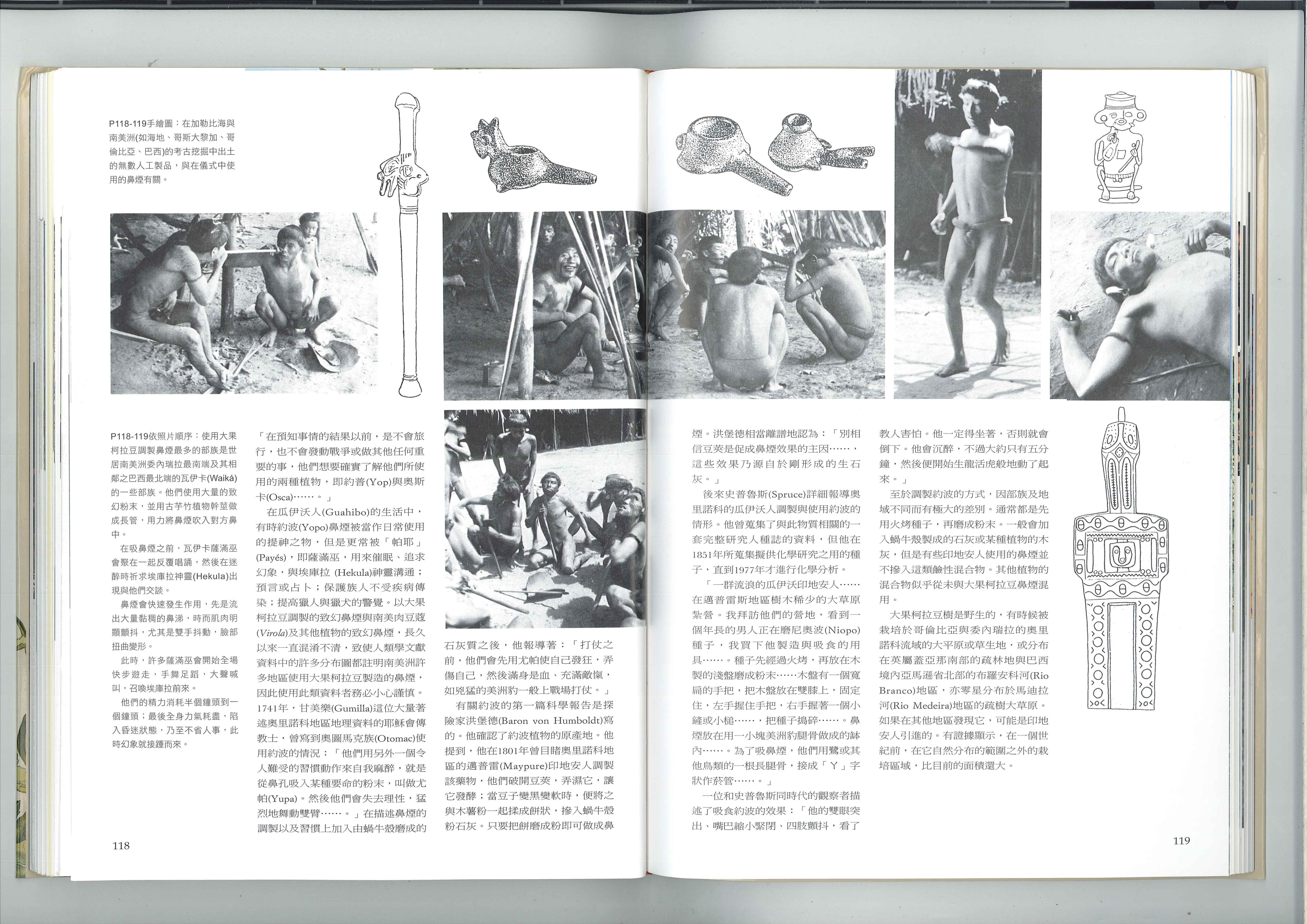 埃库拉神灵之豆 2