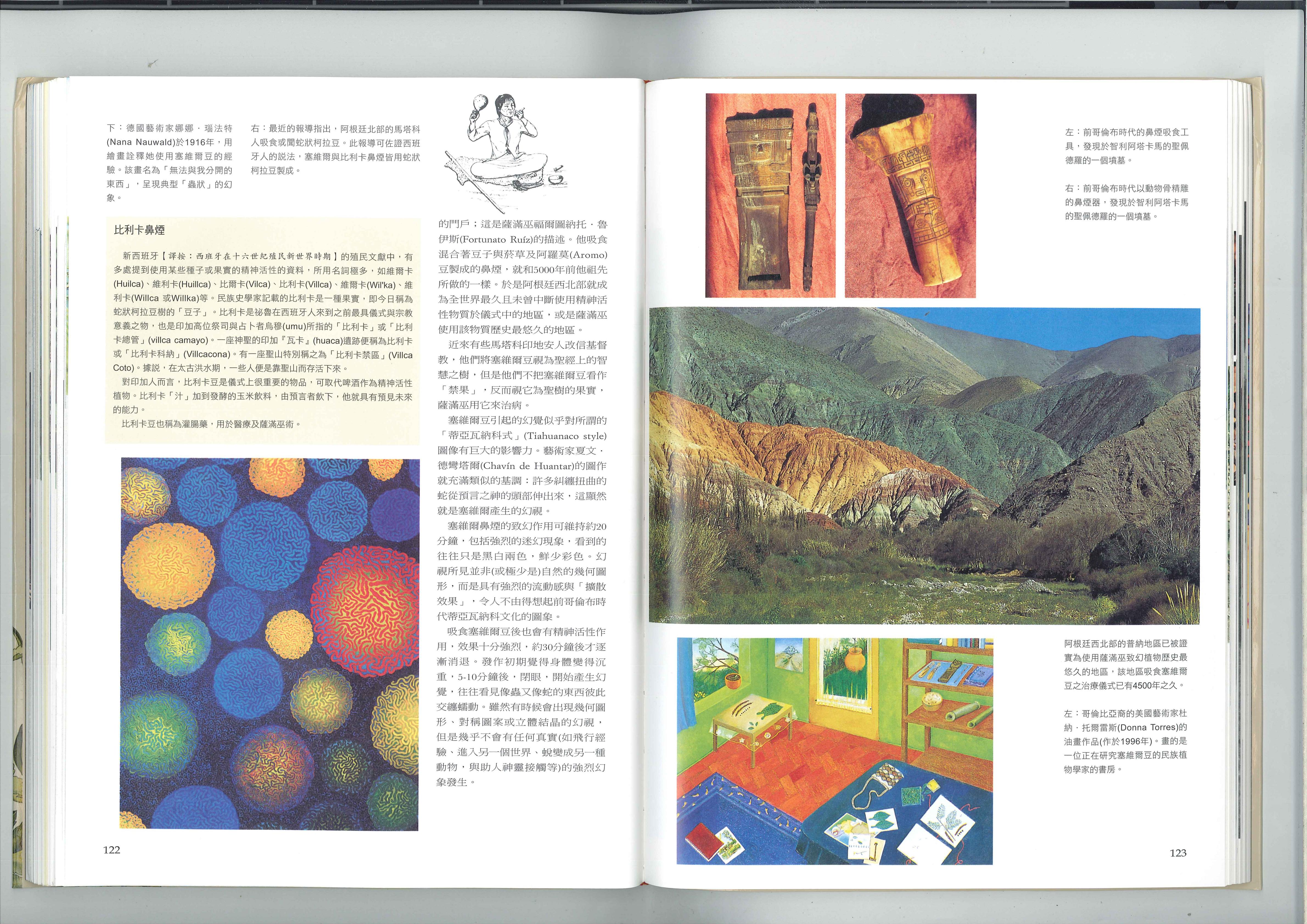 文明的种子 2