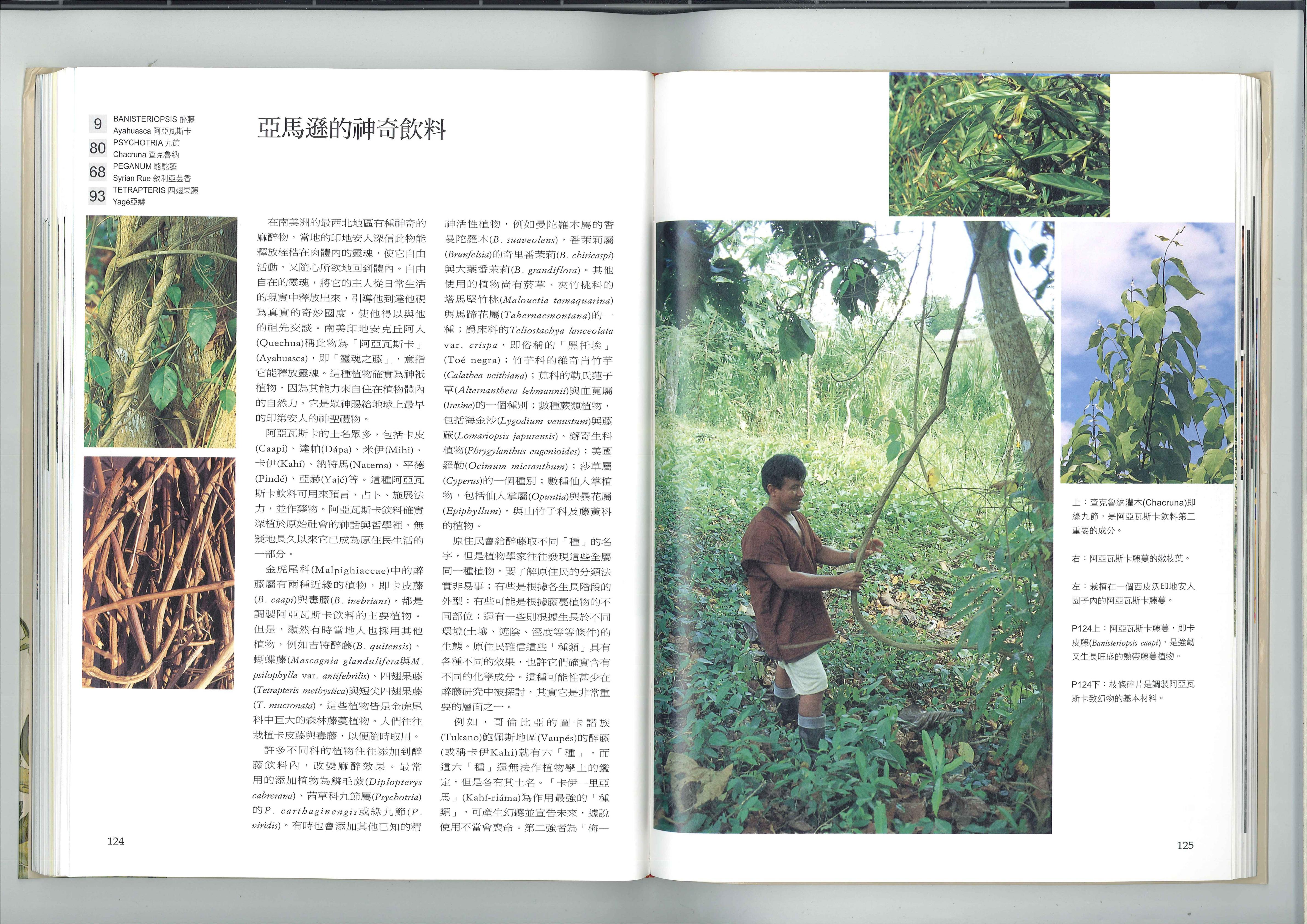 亚马逊的神奇饮料 1
