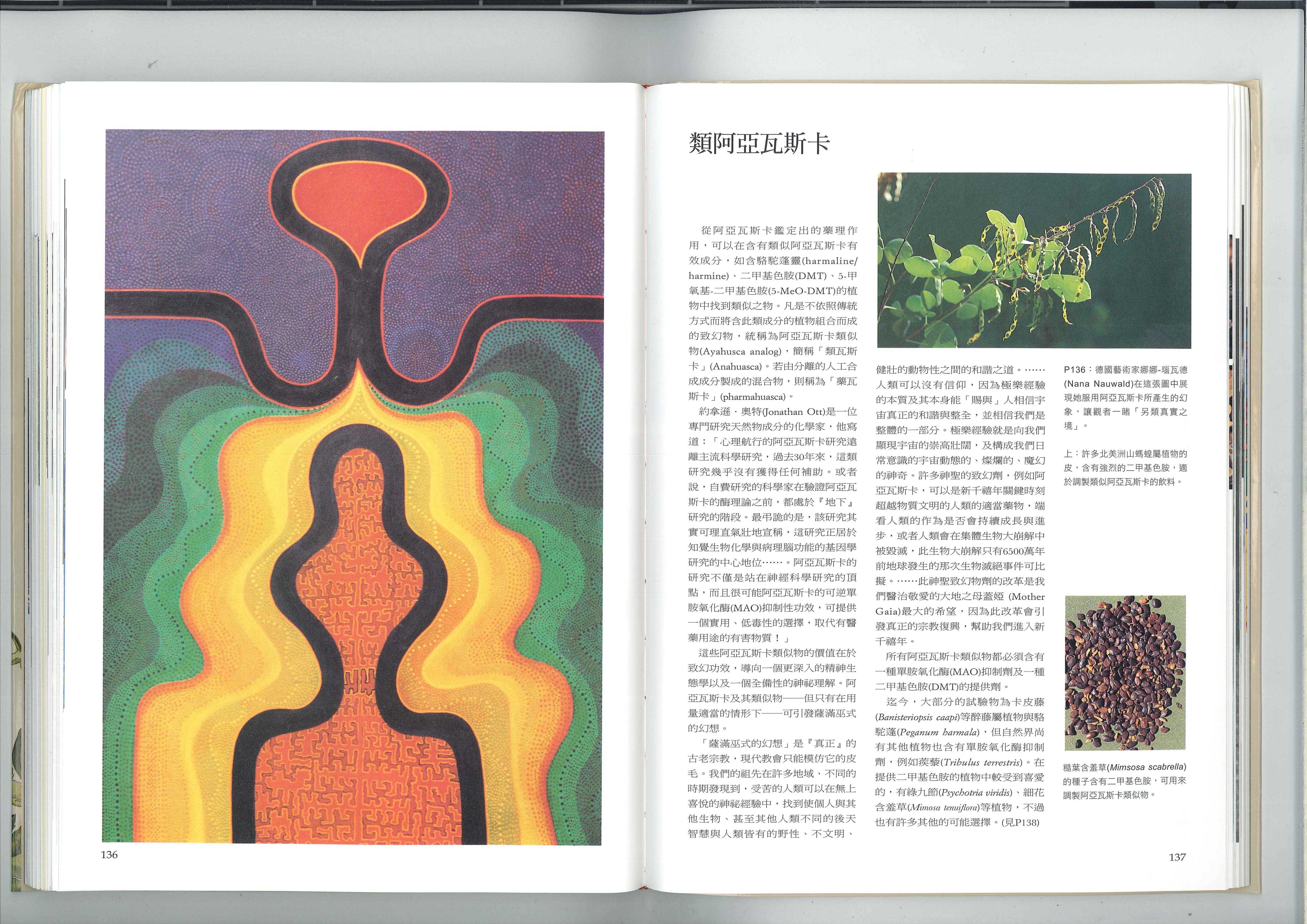 类阿亚瓦斯卡 1