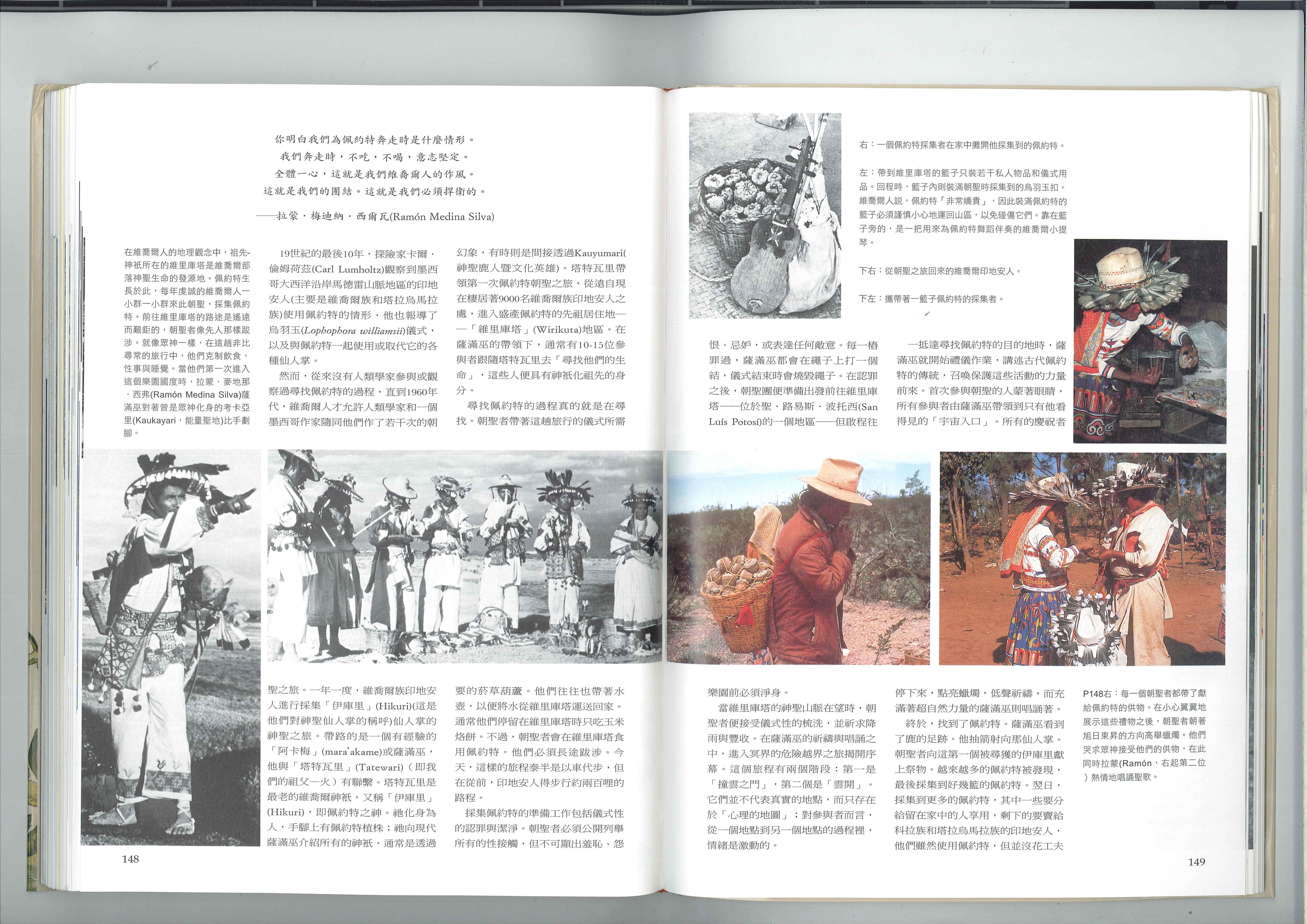 小鹿的足印 3