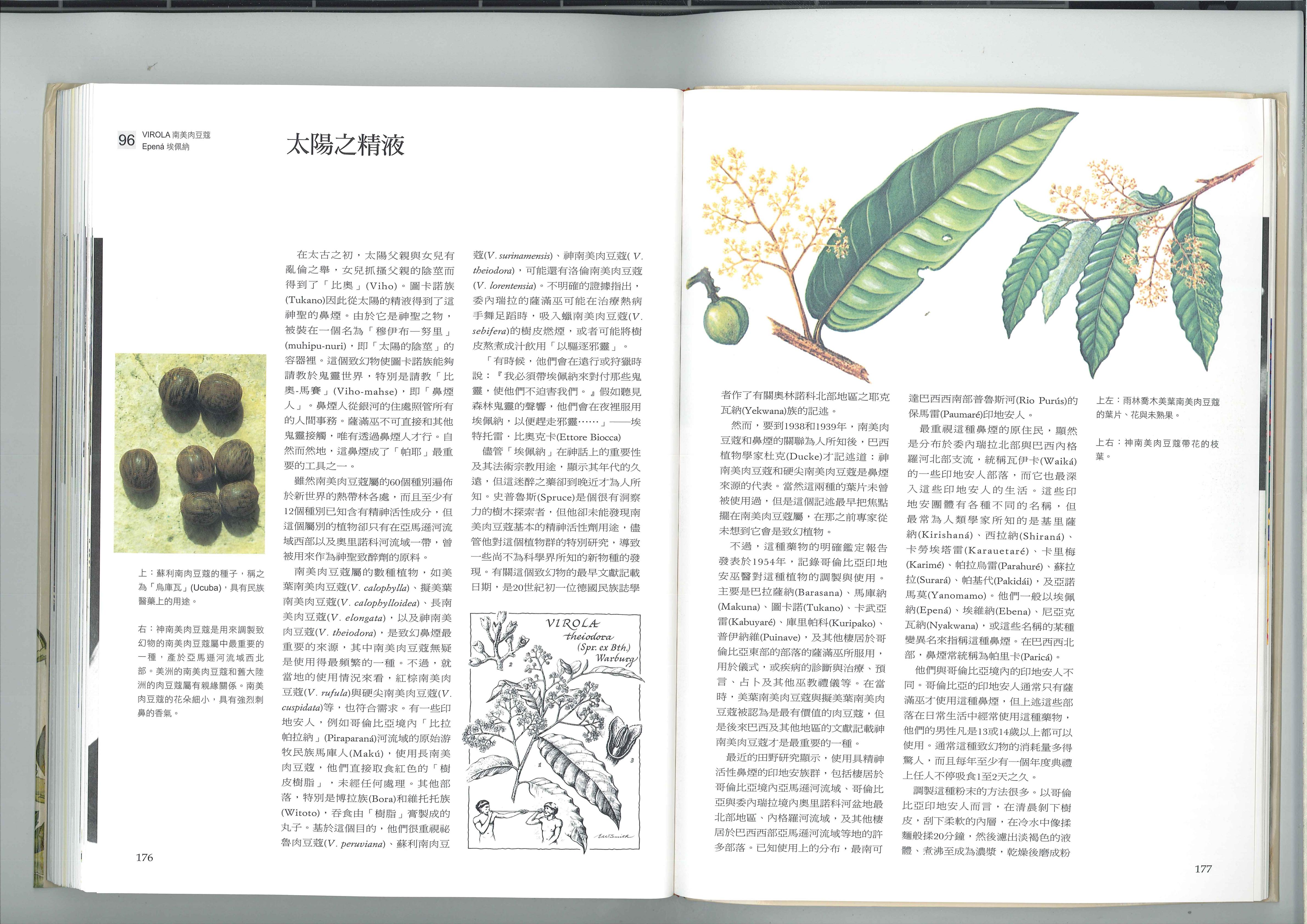 太阳之精液 1