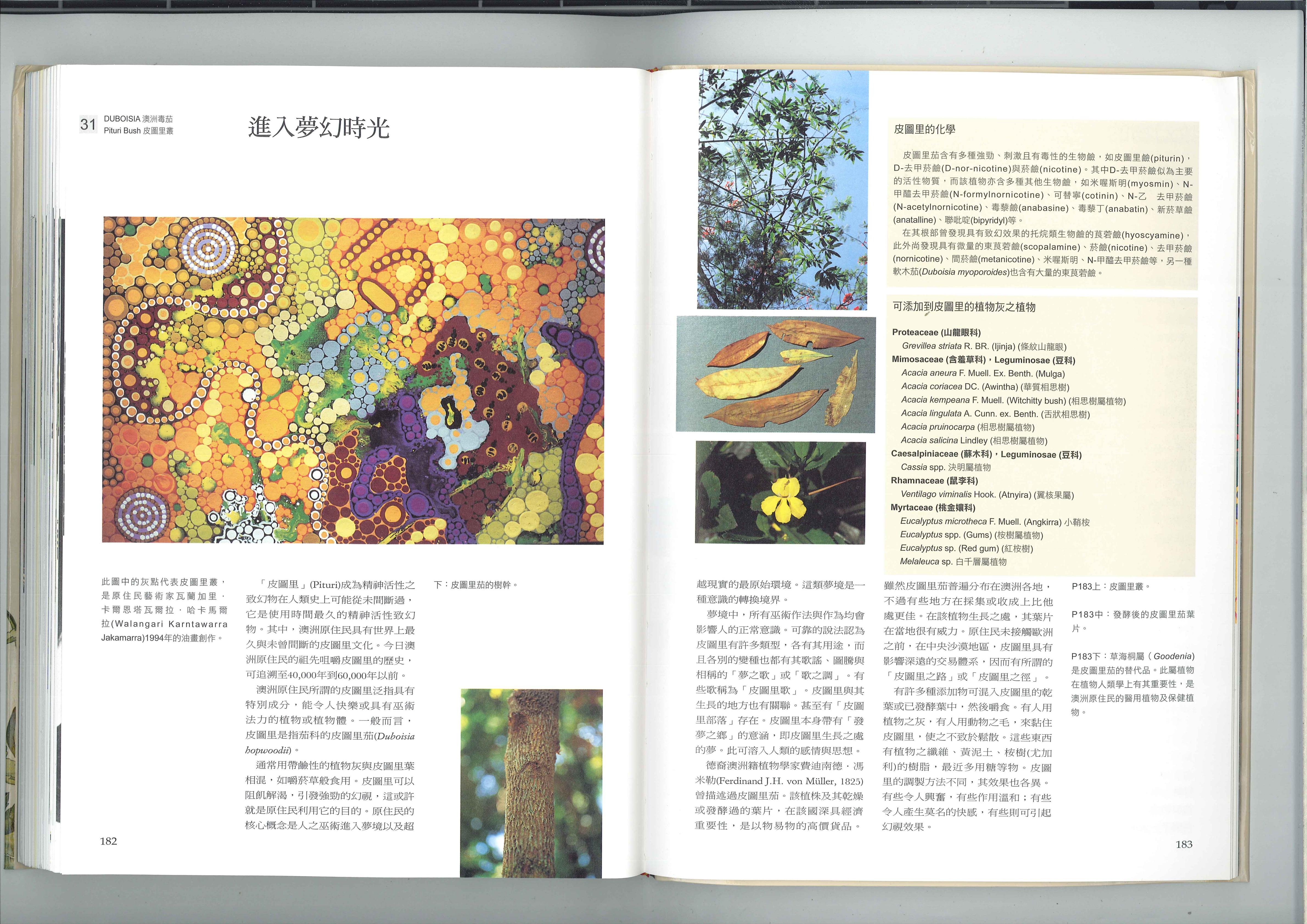 进入梦幻时光 1
