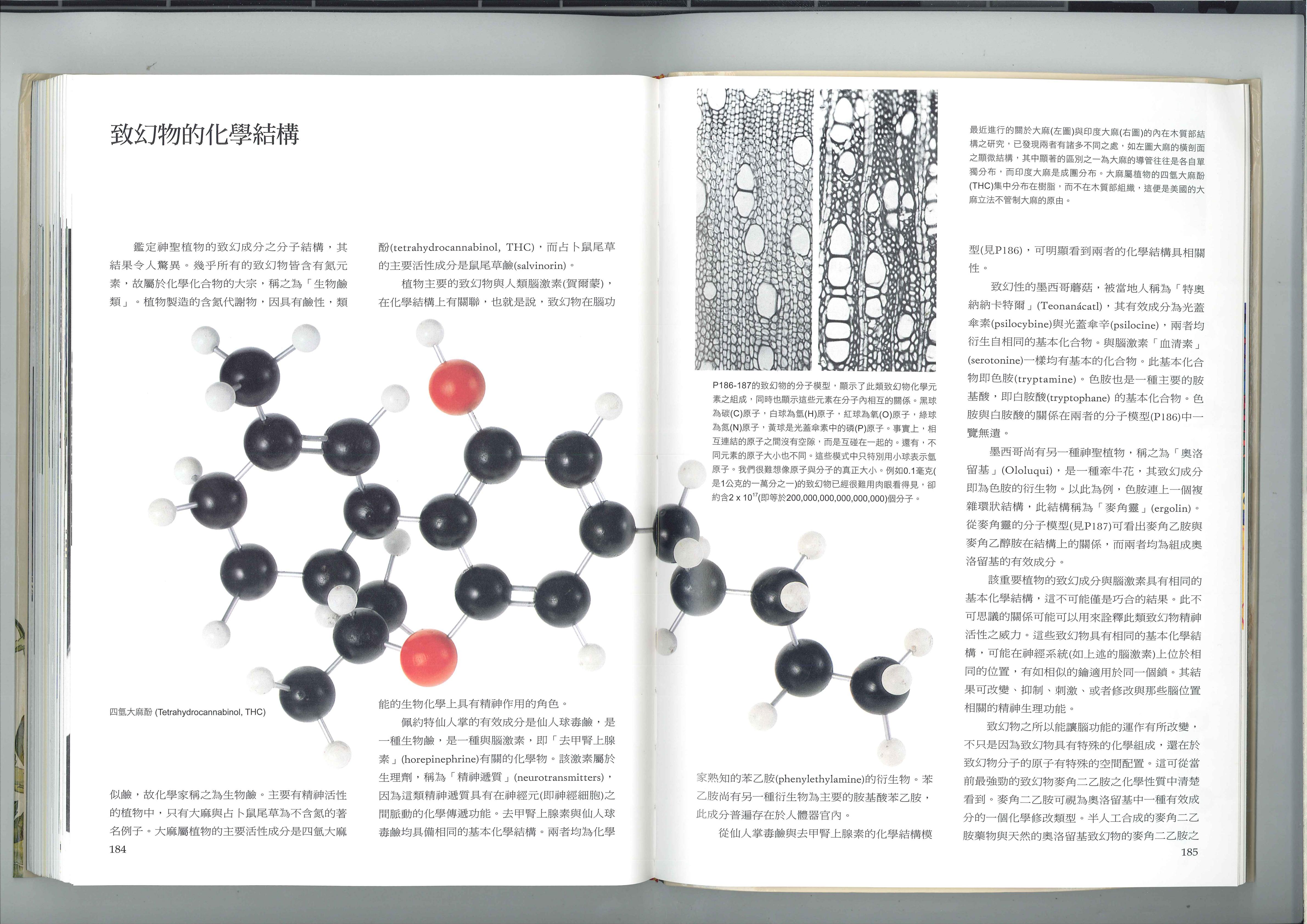 致幻物的化学结构 1