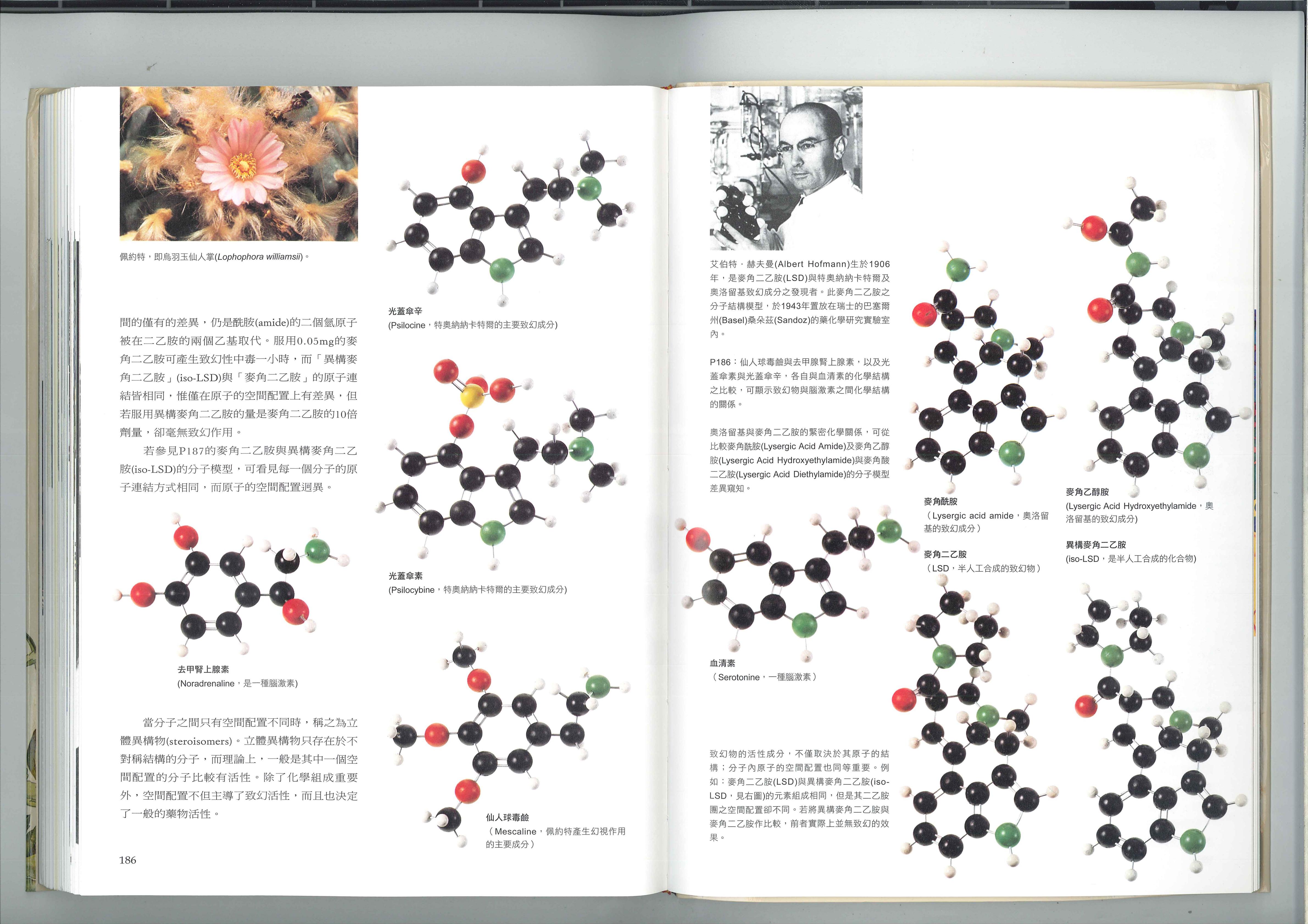 致幻物的化学结构 2