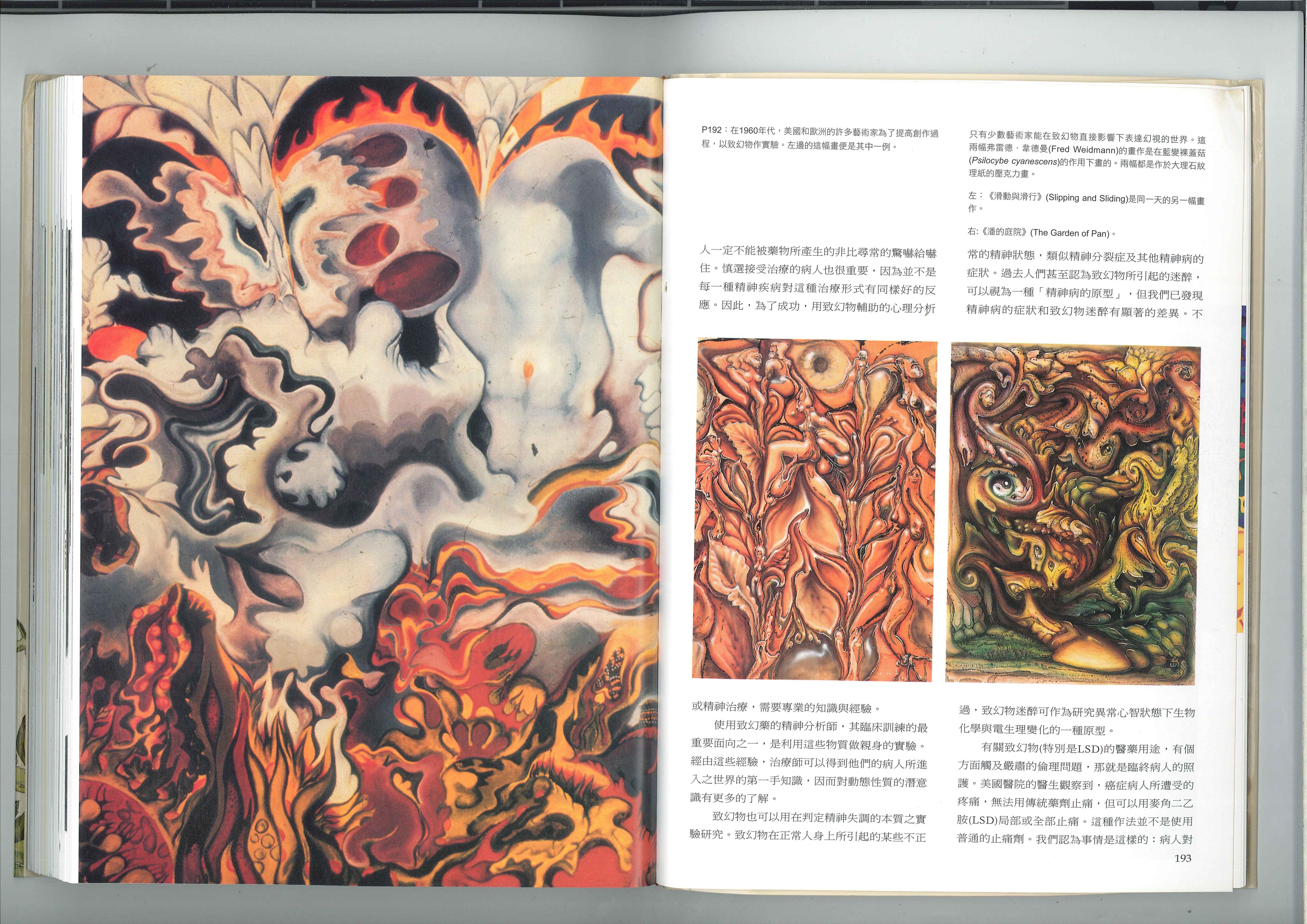 致幻物的医学用途 3