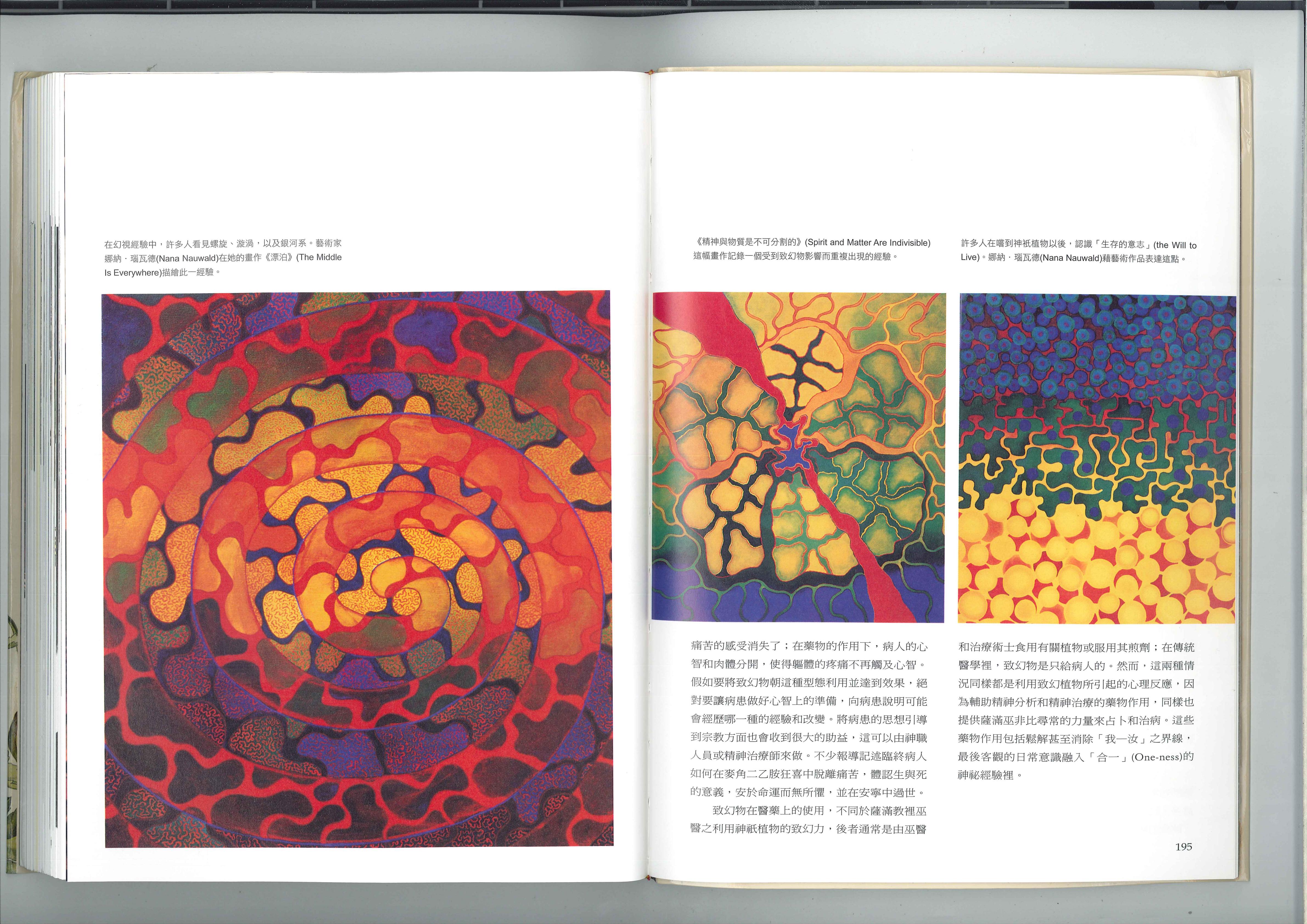 致幻物的医学用途 4