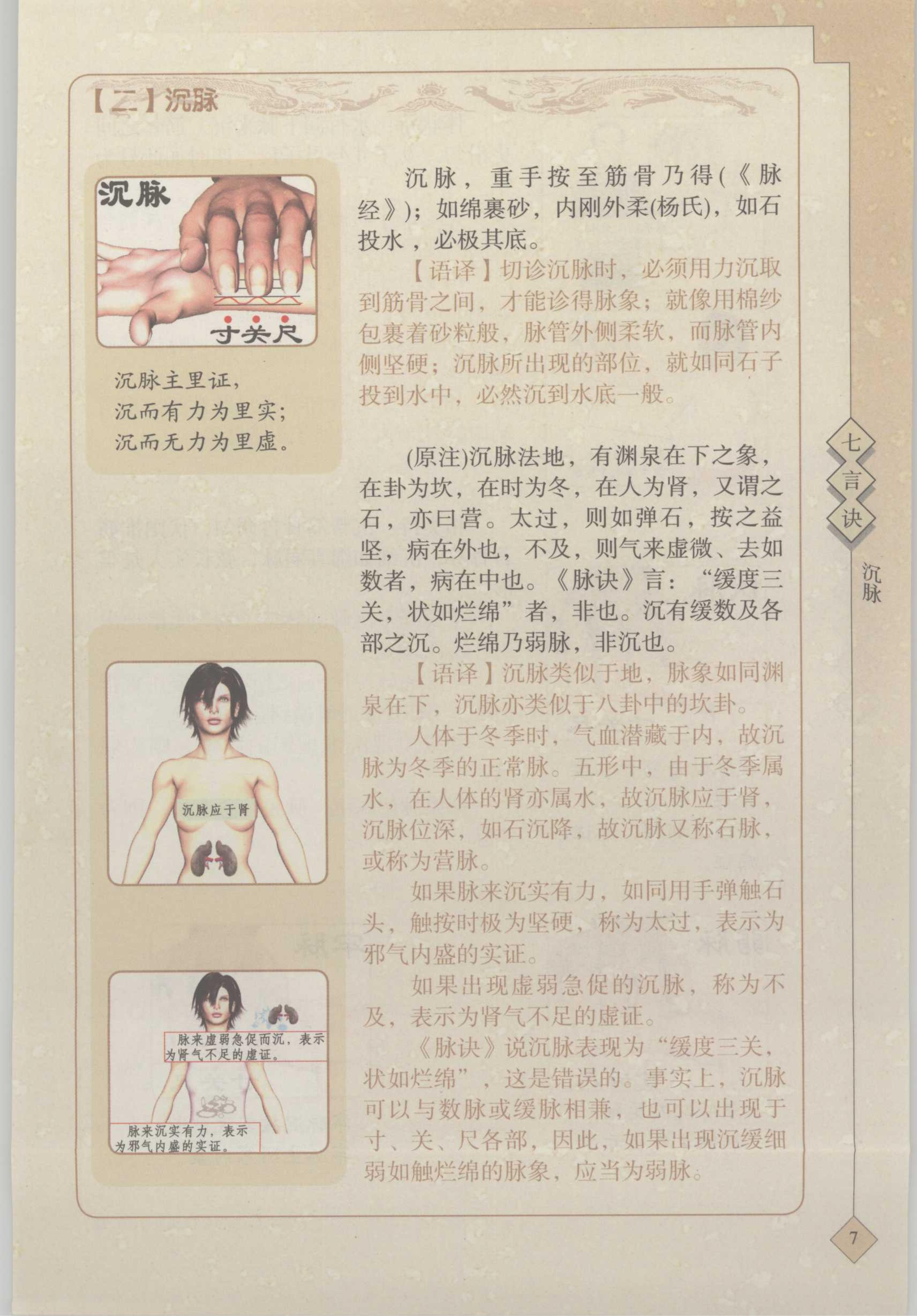 【二】沈脉 1