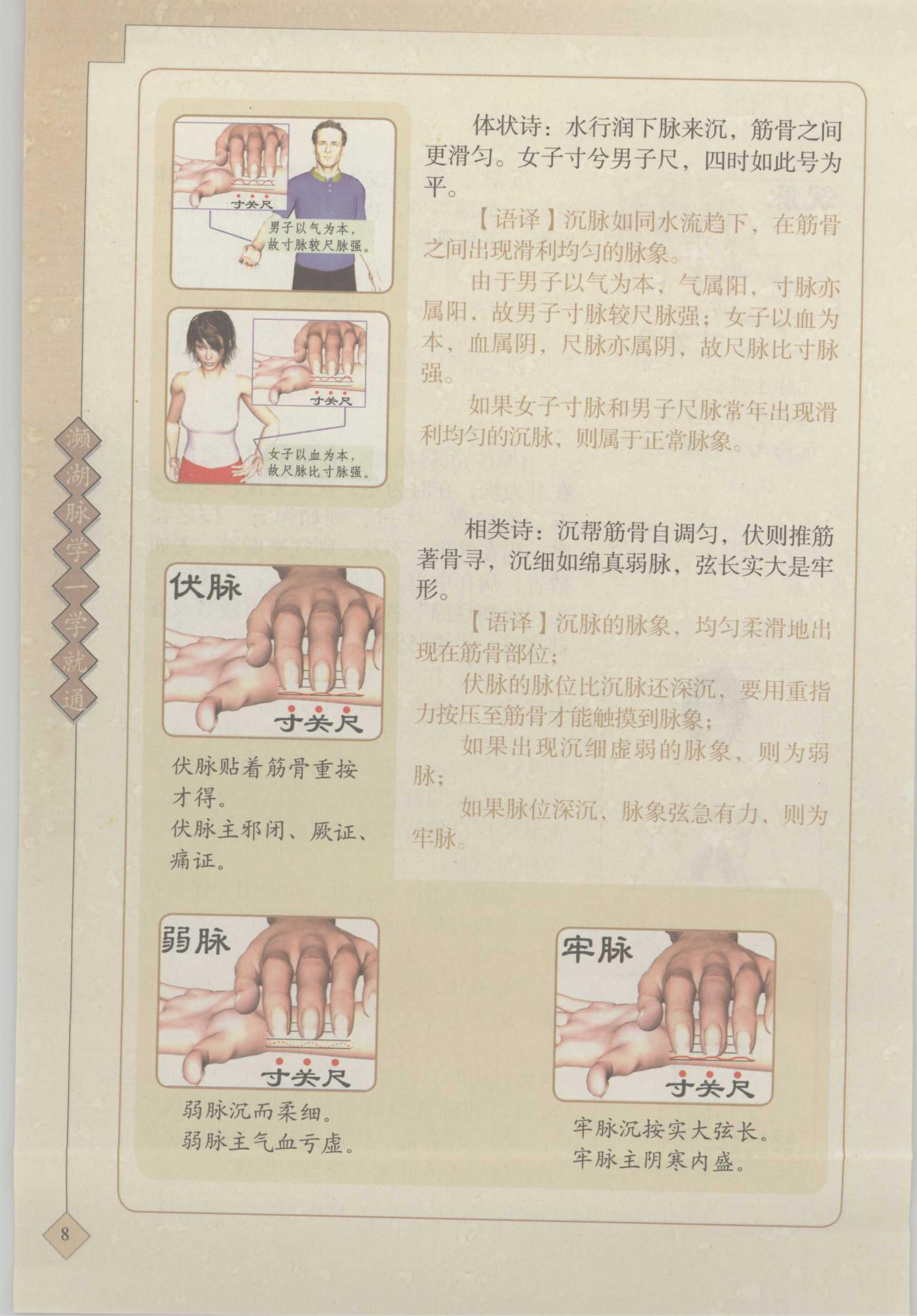 【二】沈脉 2