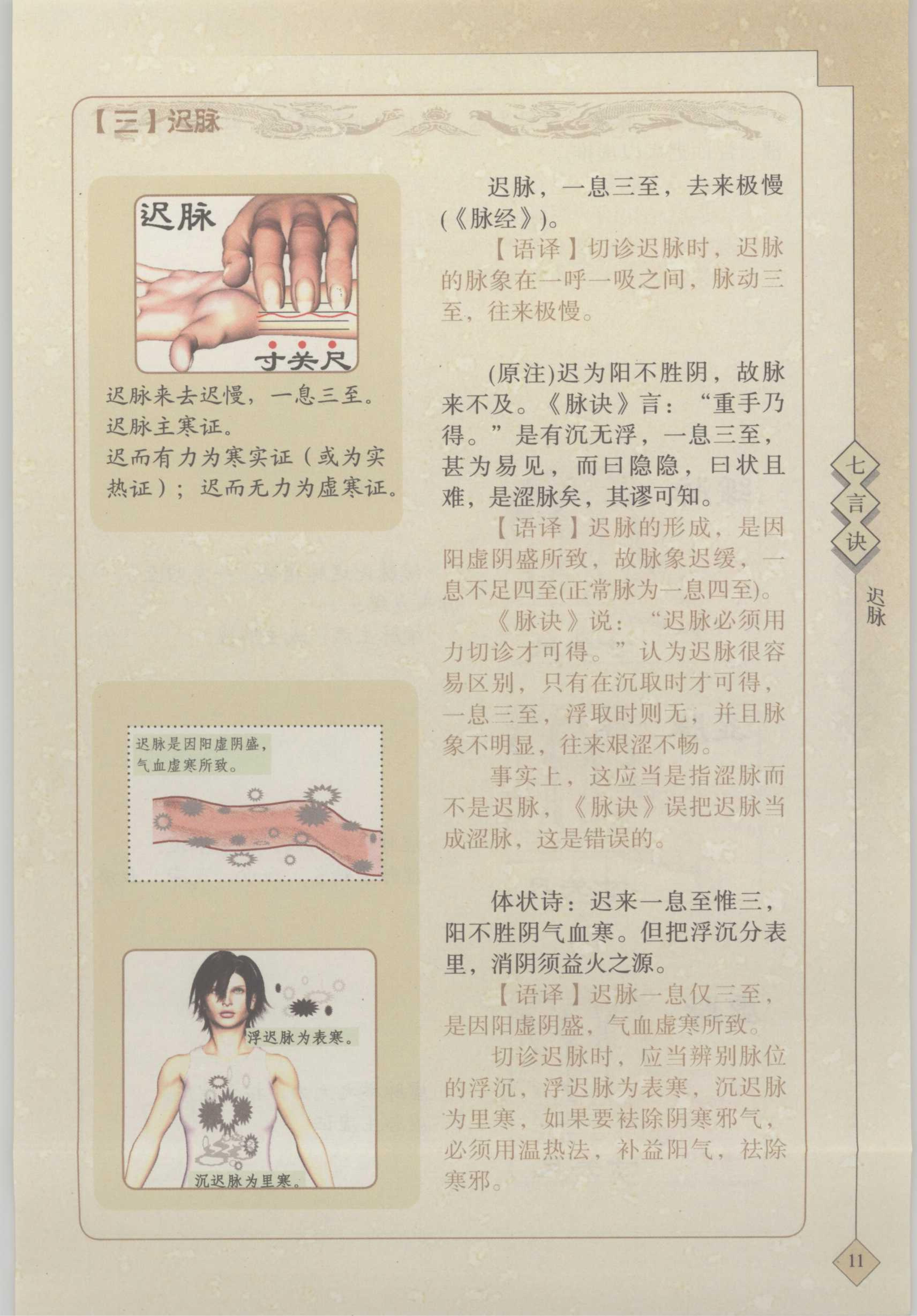 【三】迟脉 1