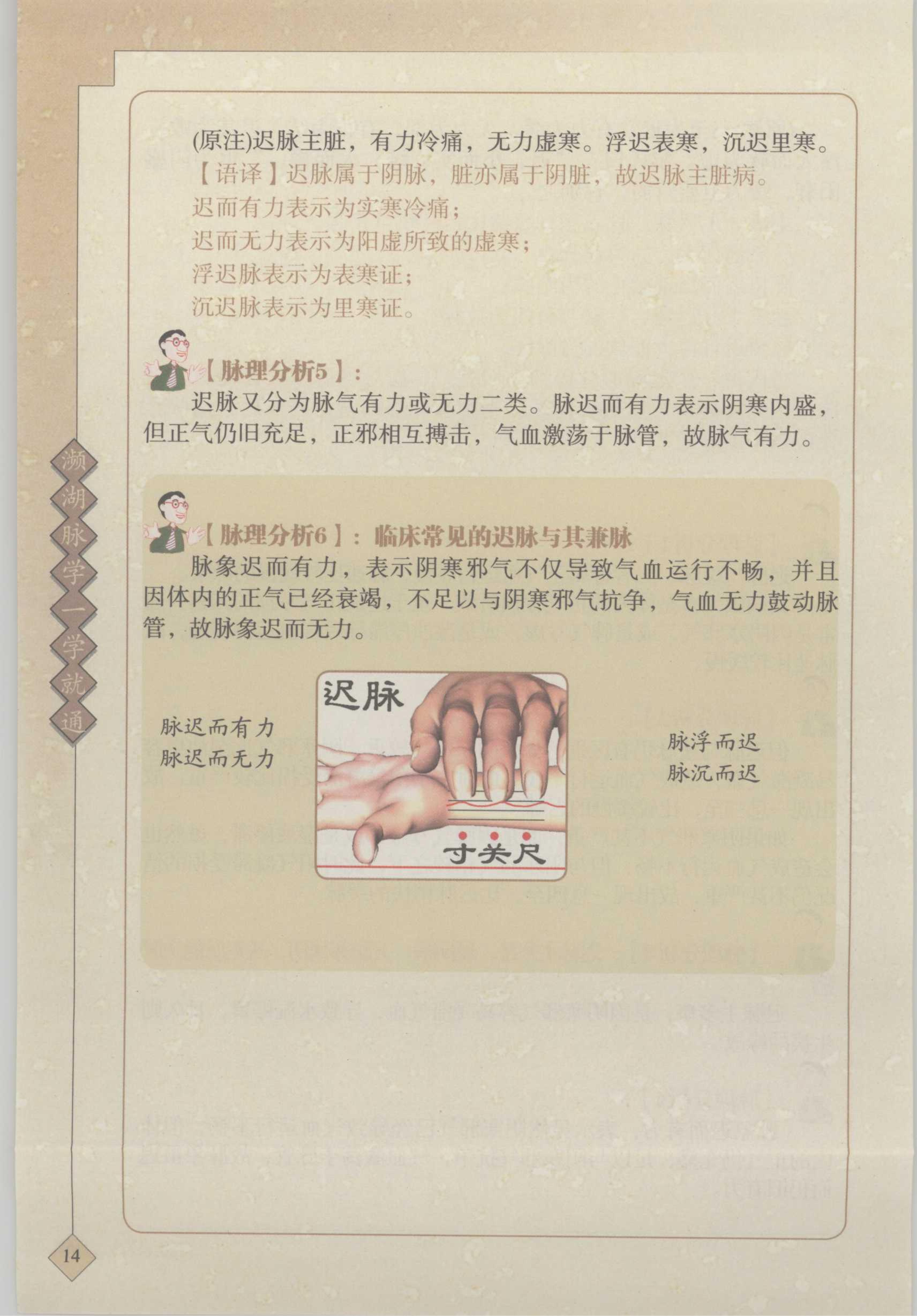 【三】迟脉 4