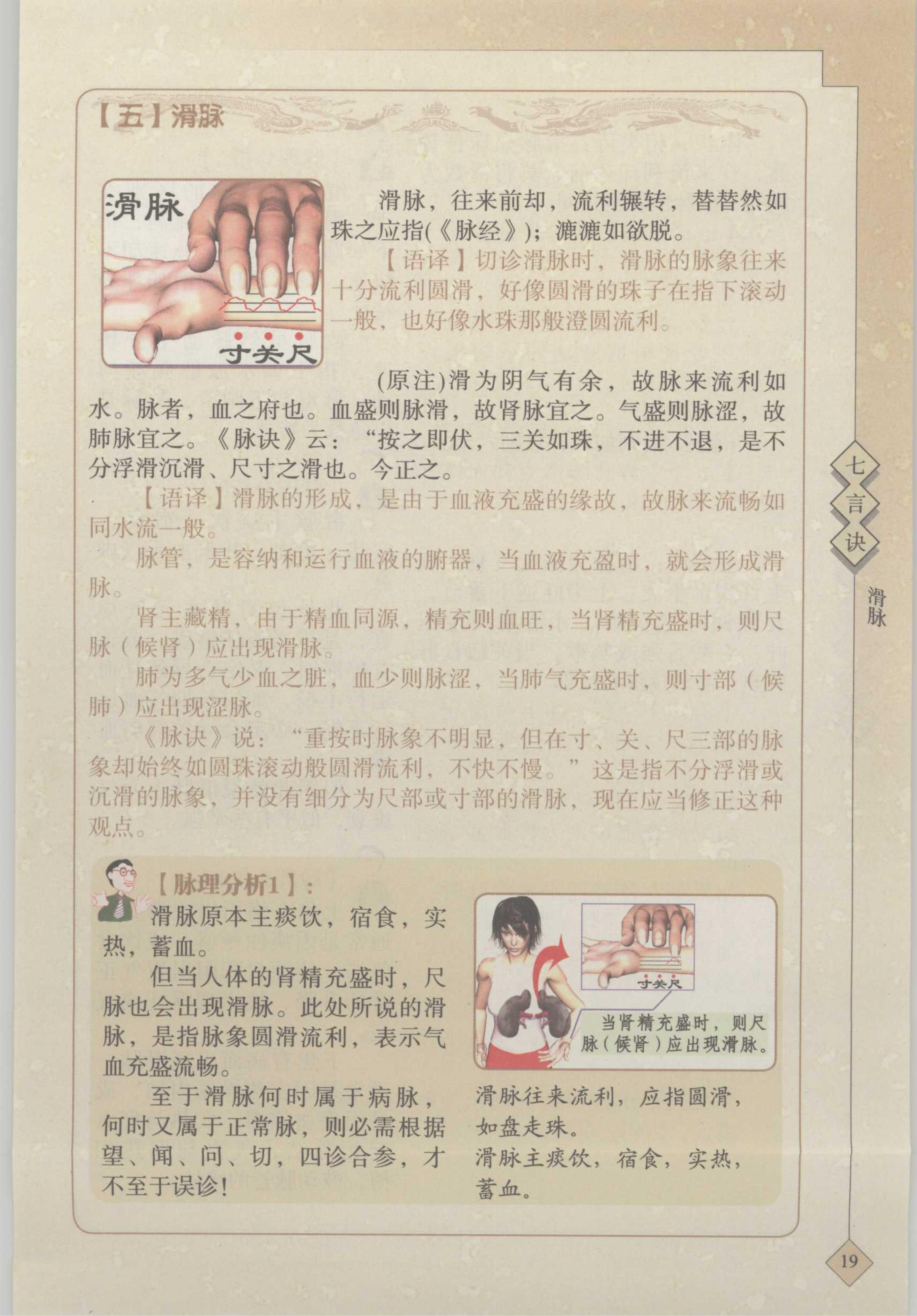 【五】滑脉 1